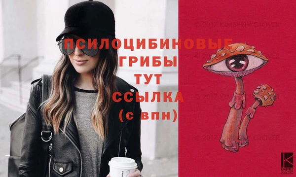 мет Нефтекумск