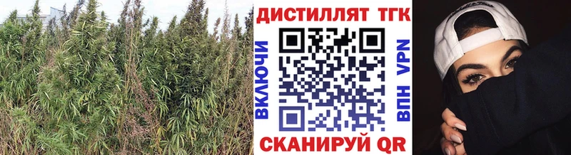 ТГК гашишное масло  сайты даркнета формула  Оханск 