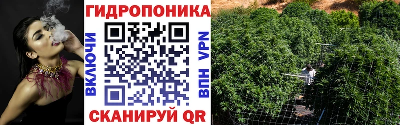 Шишки марихуана Amnesia  Оханск 